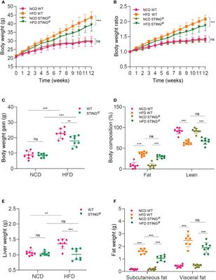 The Absence of STING Ameliorates Non-Alcoholic Fatty Liver Disease and Reforms Gut Bacterial Community